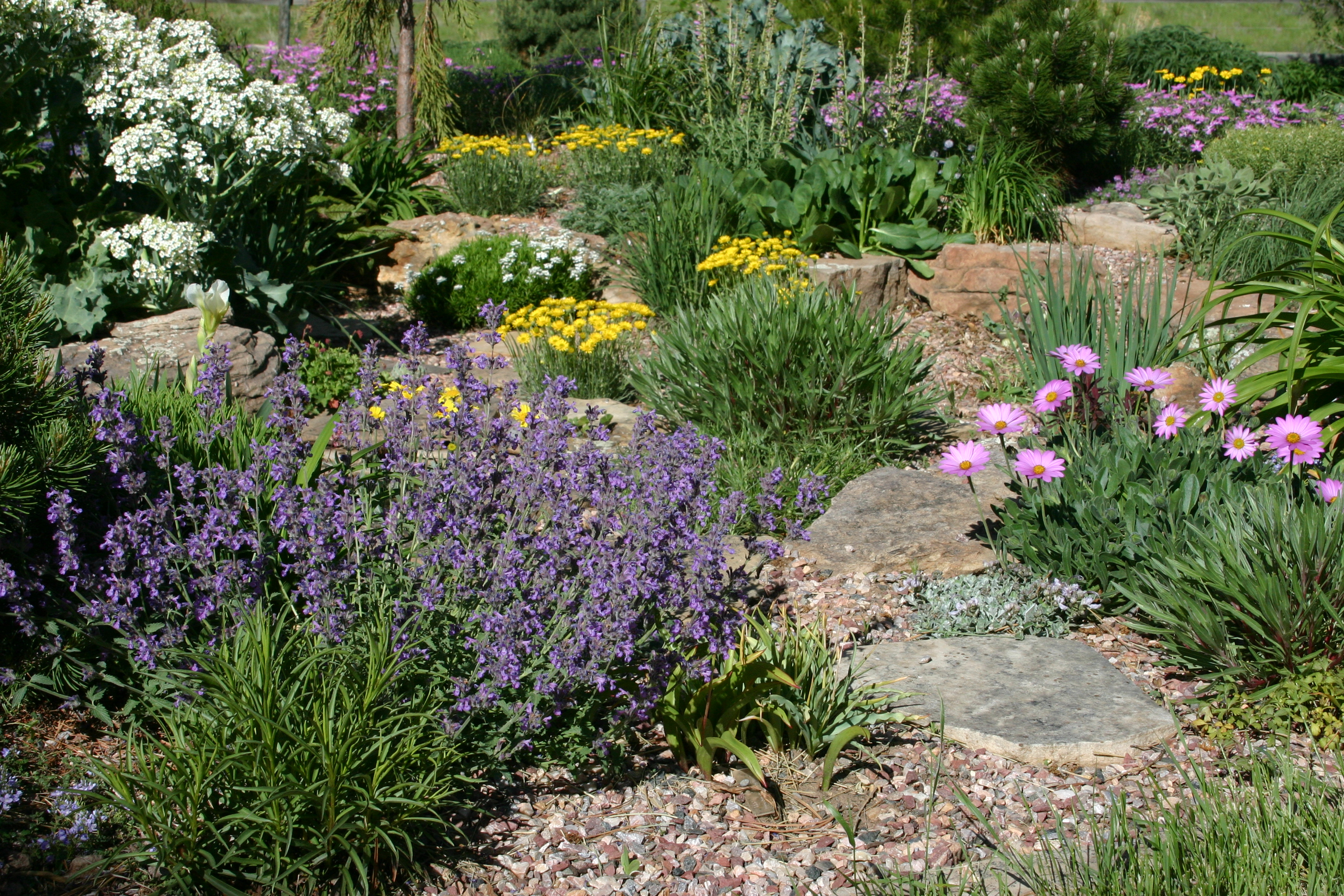 Stimulate your landscape with Plant Select! | Resilient ...